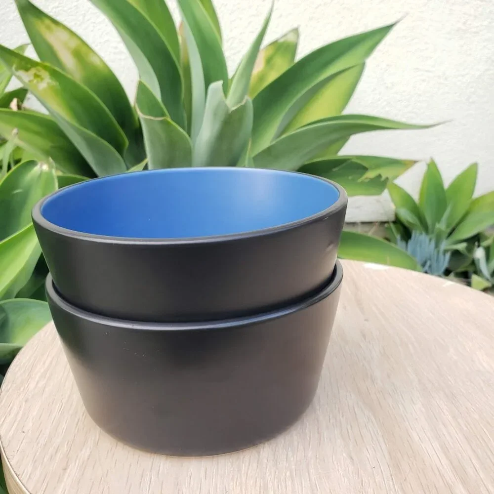 NEW Stone Lain 2 Bowls Stoneware Dinnerware Set Blue and Black Dishwasher and Mi
